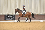 SBM_009500