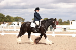 SBM_06193