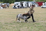 WJ6_5411