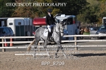 BPP_8709