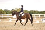SBM_001985