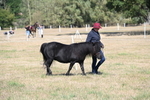 WJ6_4386