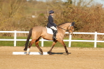 SBM_004675