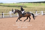 BPP_8028