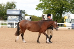 SBM_10265