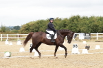 SBM_002944