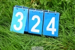 324-HAZZLE.DAZZLE-Henry.Hobby-XC portfolio