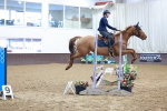 SBM_002741