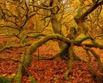 20121028-_MG_0670