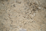 251004A-165851-02322