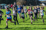 Cumbria XC-82