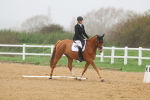 SBM_002081