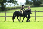 SBM_42542