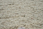 230708A-145219-02995