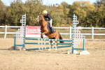 SBM_001075