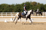 SBM_003701