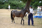 WJ6_7958