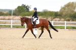 SBM_001003