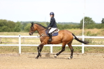 SBM_000339