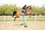 SBM_000781