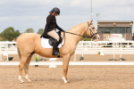 SBM_03771