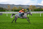 241025-Race 6-Etna Bianco-4911