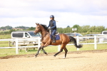 SBM_005603