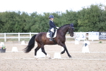 Class 5 - E5 Bronze 14.42.15.54 portfolio