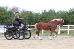 SBM_000371