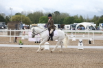SBM_00223