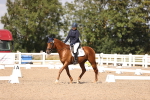 SBM_03668