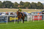 160926-Race 8-Evelyns Phoenix-2183