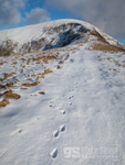 Prints in the snow, Nantlle Ridge