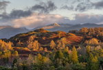 Views From Tarn Hows