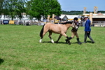 SBM_08065