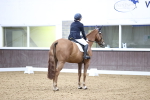 SBM_004359