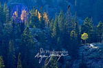 3HPhotography10-6-24_RMNP_0110_