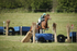 BVHT 140517  IXC -4