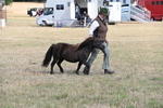 WJ6_6832