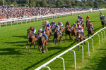 240824-Race 7-Sir Busker-1980