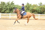 SBM_025513