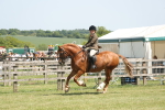 SBM_06949