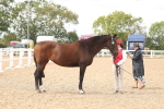 SBM_17004