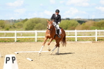SBM_000339