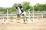 SBM_009650