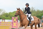 Cls 17 British Novice and 90cm Open portfolio