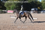 BPP_8522