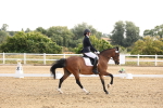 SBM_005173