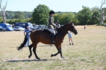 WJ6_8364