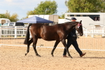 SBM_18321